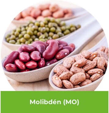Molibdén