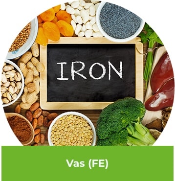 Vas